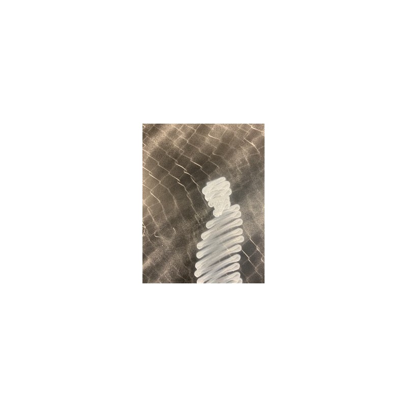 2021_SPU_11_P