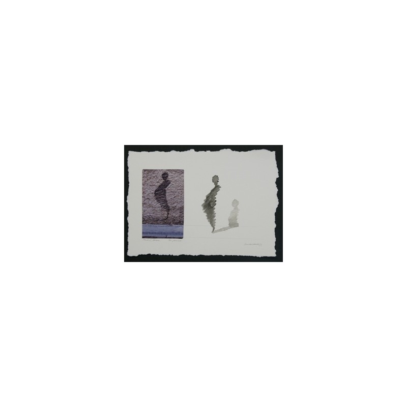 2013_AGU_02_SCP